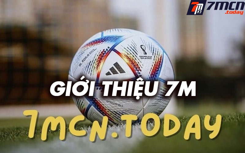 Giới thiệu radoslawmajdan.com